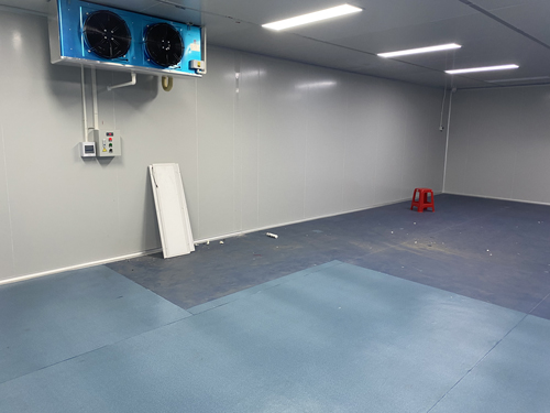 無塵車間草莓视频在线观看免费视频工程放靜電